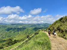 Colombia-Coffee Zone-Coffee Region Explorer